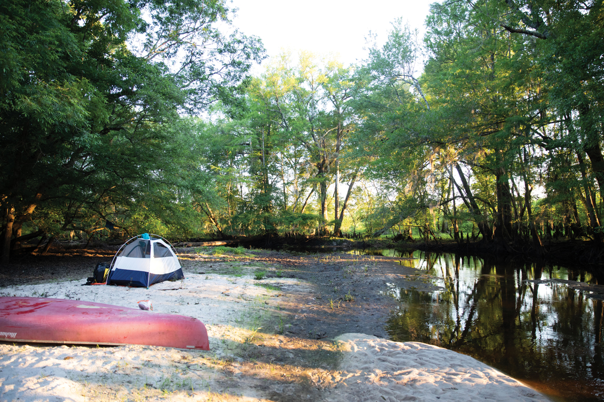 The “Pig Island” camp after dawn.