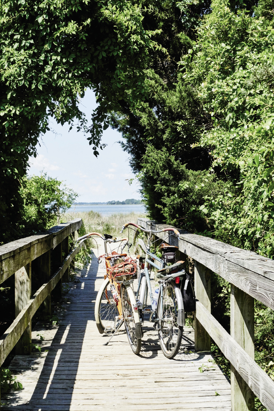Edisto Island: There are no worries about parking when you pedal to the beach, which is known for great shelling.