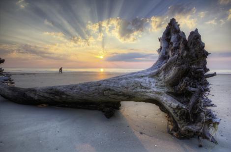 SOLITUDE: As our city’s star rises, our barrier islands—Bulls, Capers, Botany Bay, and Hunting (pictured here) to name a few—remain lower-profile havens, many of them undeveloped and protected, just the way we like them.