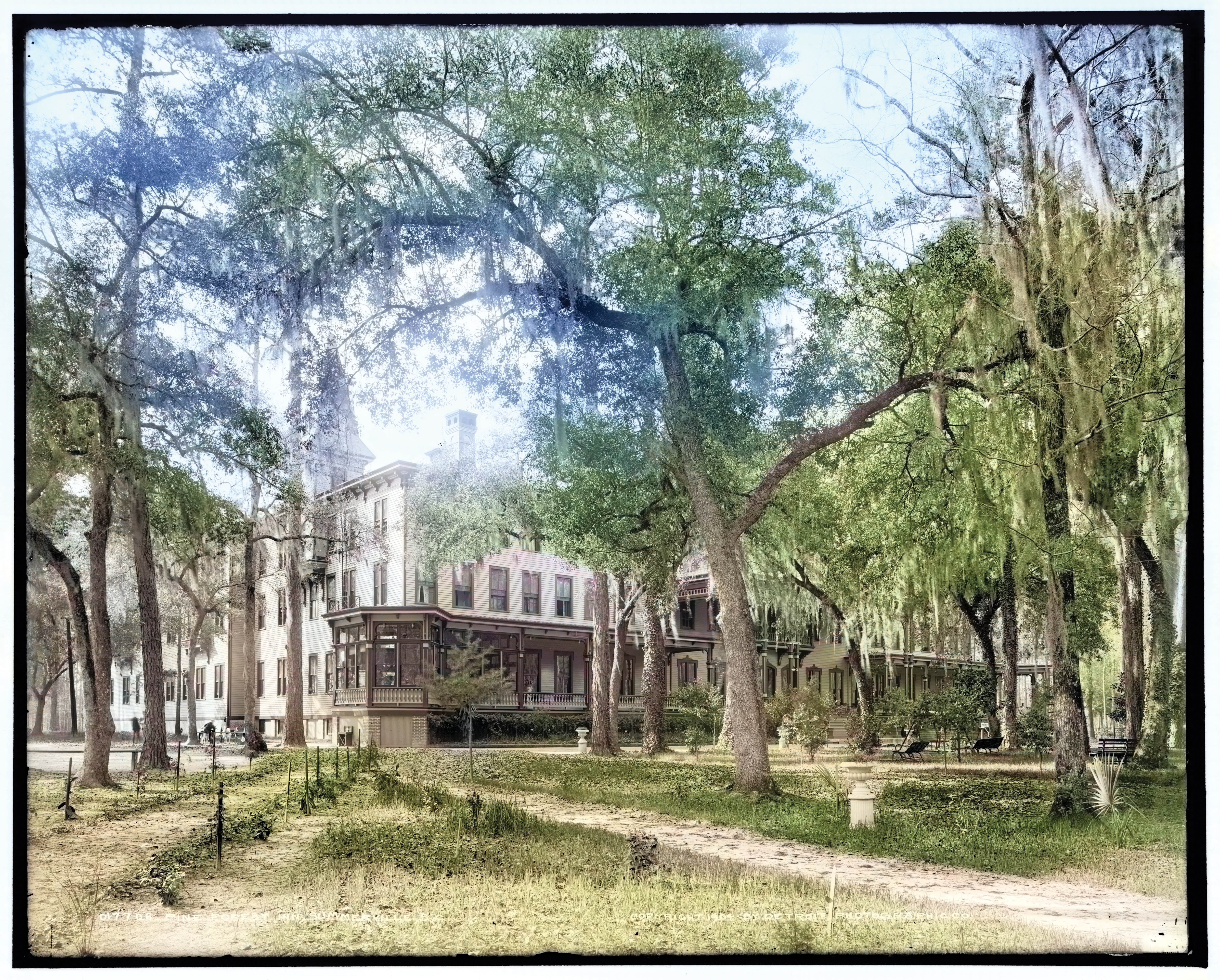 The Pine Forest Inn, circa 1904.