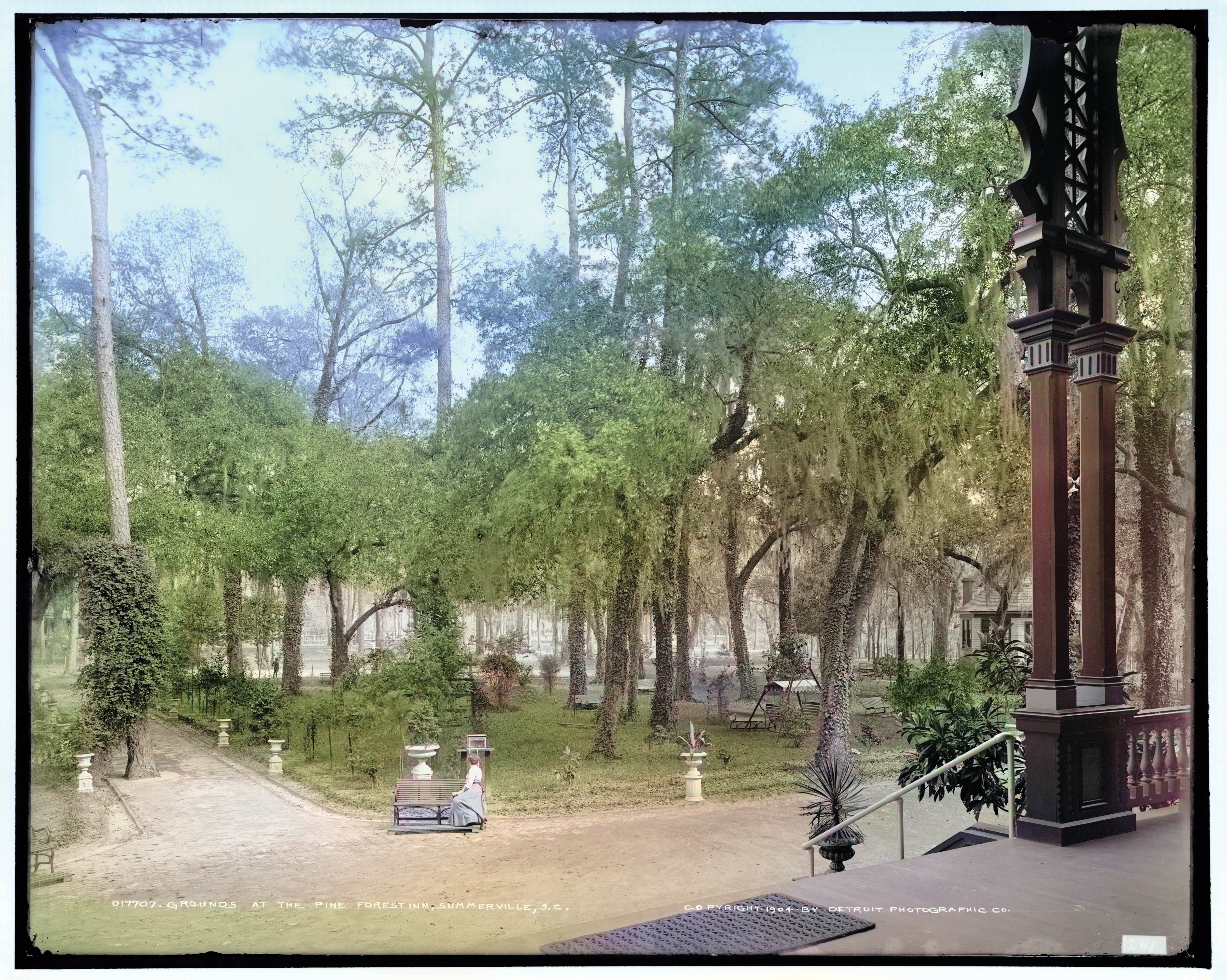 The grounds of the bygone Pine Forest Inn.
