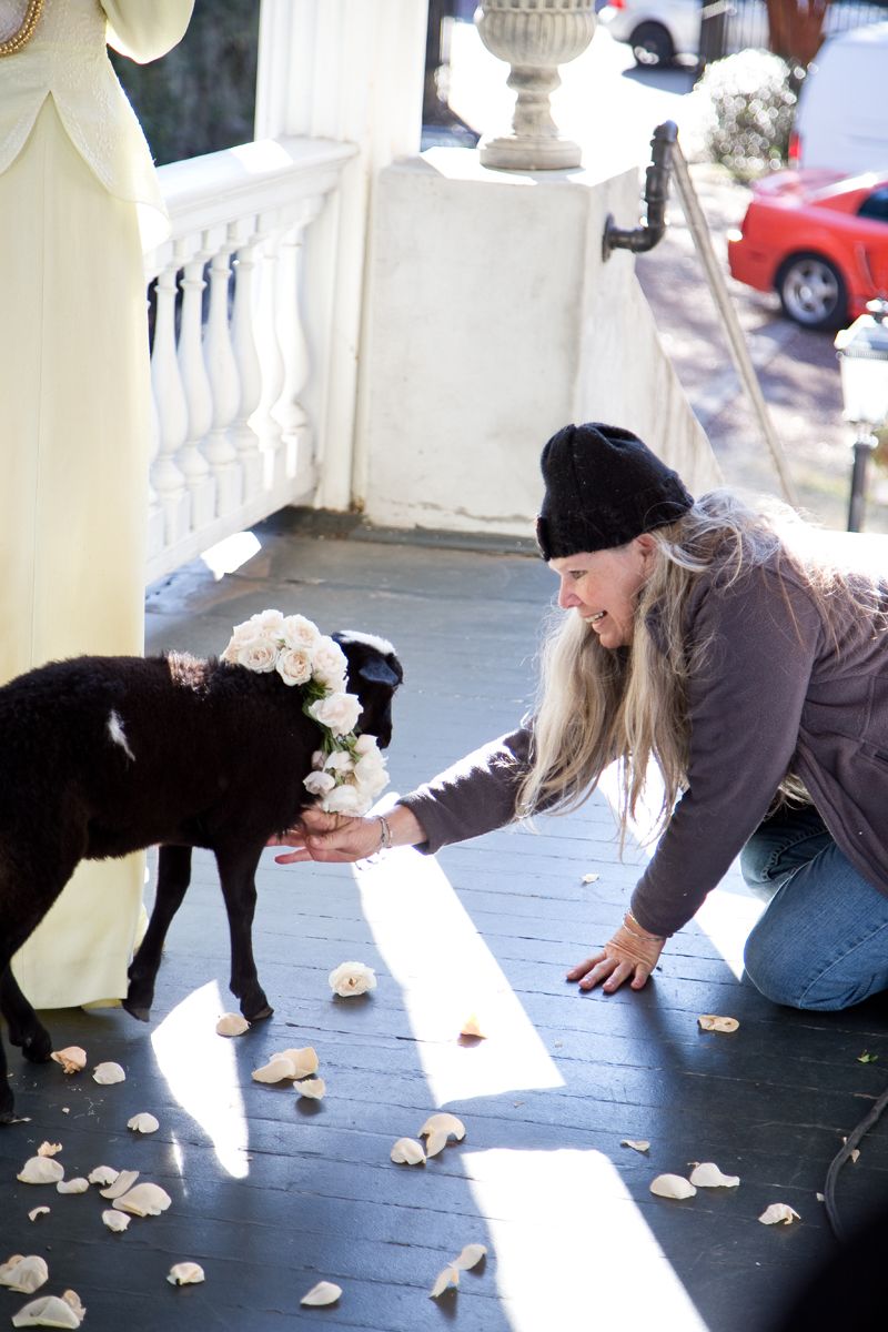 Annie loves the rose petals; photo by Mac Kilduff