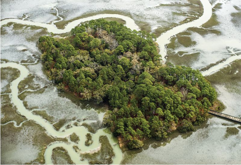 Walkway to a Small Island Off John’s Island  (March 24, 2015)