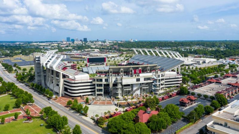 Williams Brice Stadium City Scape - photo by Earl Jones