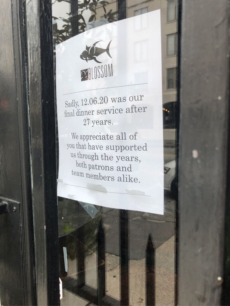 Closing Time: Even though the figures weren’t as dire as anticipated, Charleston did lose a handful of landmark downtown restaurants, including Blossom, Fulton Five, and Basil, as well as Jestine’s Kitchen, Martha Lou’s, McCrady’s, Minero, and Nana’s Seafood &amp; Soul.