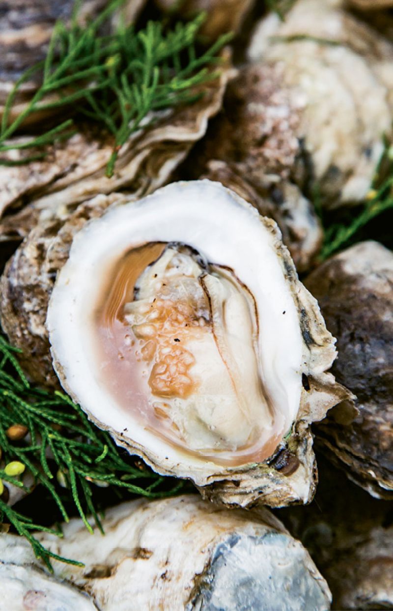 Roasted oysters with a hint of juniper.