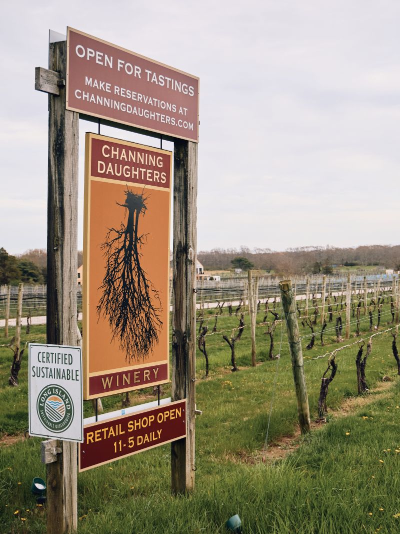 Vineyard rows near the tasting room at Channing Daughters Winery in Bridge-hamptom.