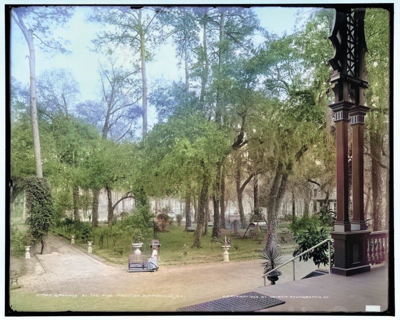 The grounds of the bygone Pine Forest Inn.